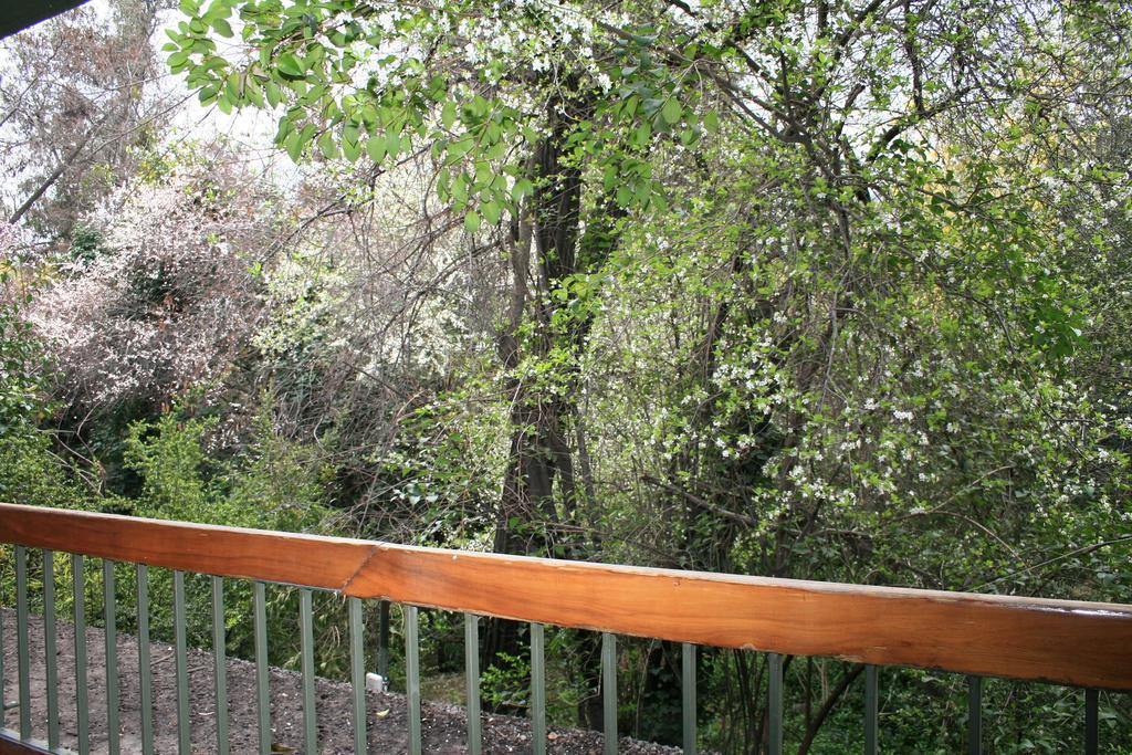 Hotel Acacias De Vitacura Сантьяго Экстерьер фото