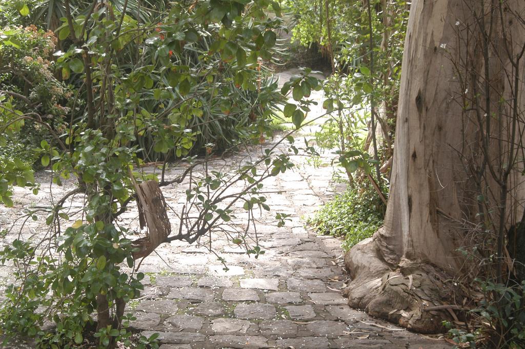 Hotel Acacias De Vitacura Сантьяго Экстерьер фото